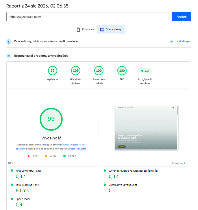 Egzobeast PageSpeed Insights results
